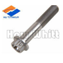 gR5 titanium flange head bolt with security slot